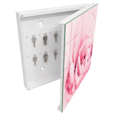 Rose delicacy Key cabinet