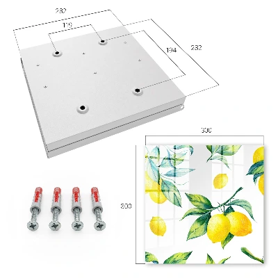 Watercolor lemons Key box for wall