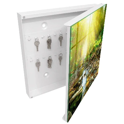 Forest stream Key box for wall