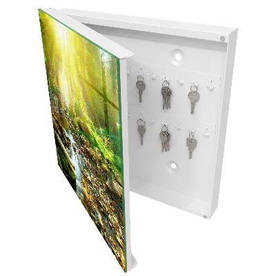 Forest stream Key box for wall