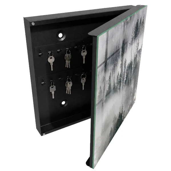 Misty green Wall mounted key box