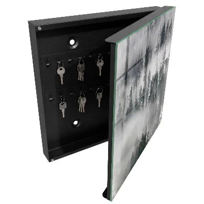 Misty green Wall mounted key box
