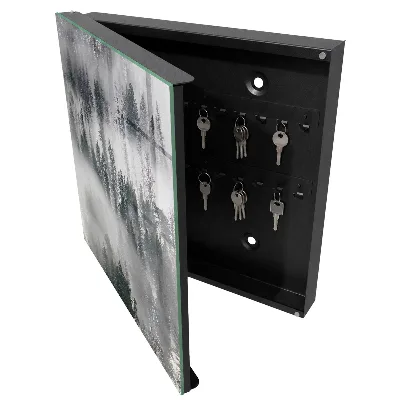 Misty green Wall mounted key box
