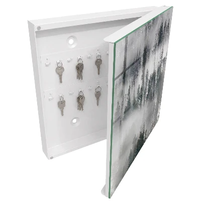 Misty green Wall mounted key box