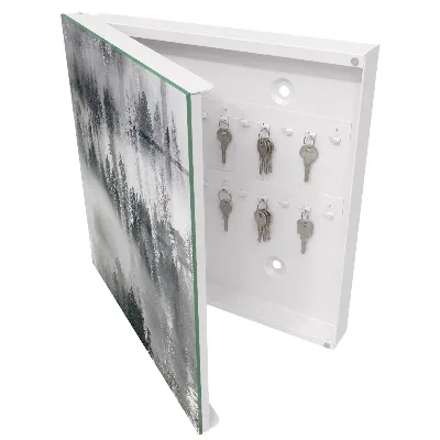 Misty green Wall mounted key box