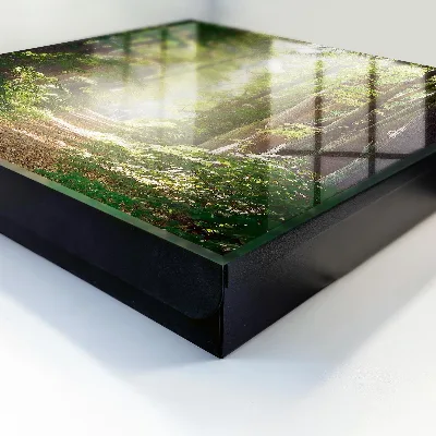 Forest landscape Key box for wall
