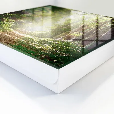 Forest landscape Key box for wall