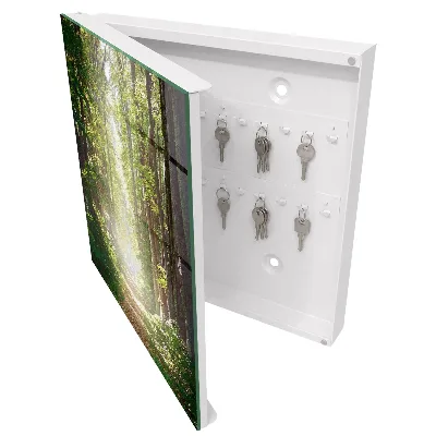 Forest landscape Key box for wall