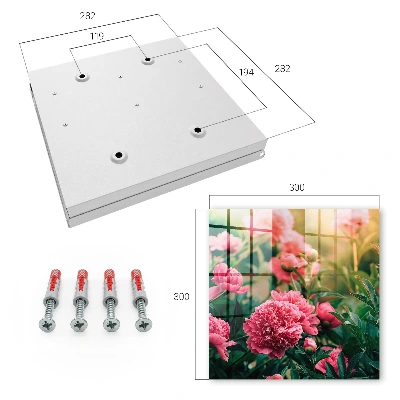 Pink peonies Key cabinet