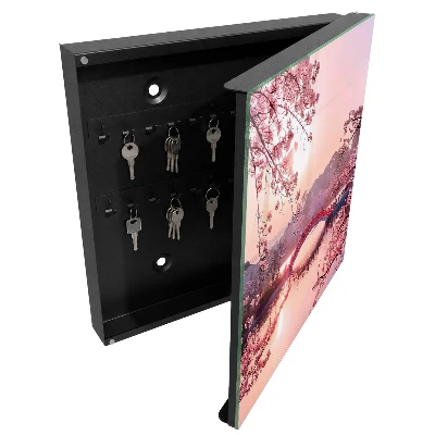 Spring bridge Wall mounted key box