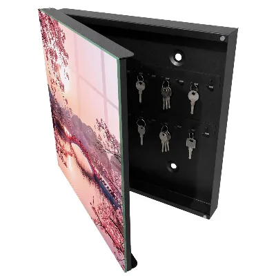 Spring bridge Wall mounted key box