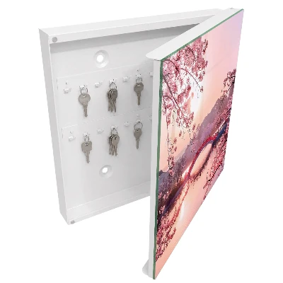 Spring bridge Wall mounted key box