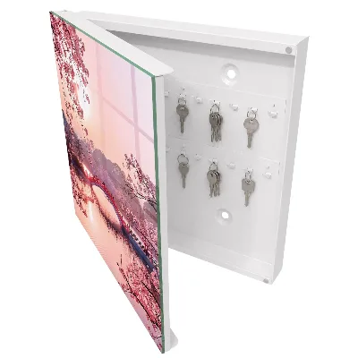 Spring bridge Wall mounted key box