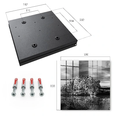 Jaguars in the water Key box for wall