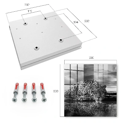 Jaguars in the water Key box for wall