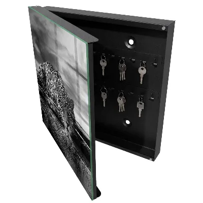 Jaguars in the water Key box for wall
