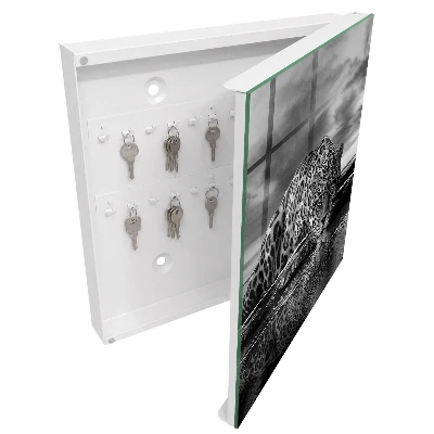 Jaguars in the water Key box for wall