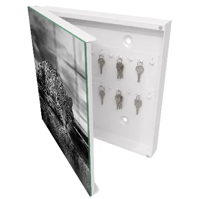 Jaguars in the water Key box for wall