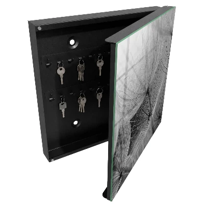 Dandelion seeds Wall mounted key box
