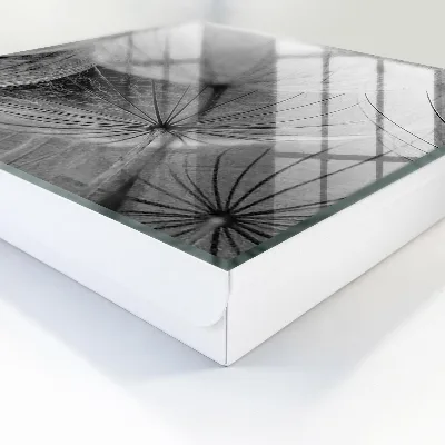 Dandelion seeds Wall mounted key box