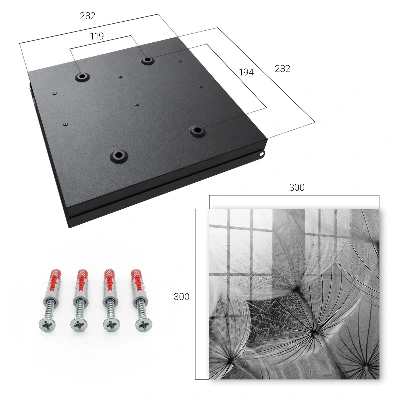 Dandelion seeds Wall mounted key box
