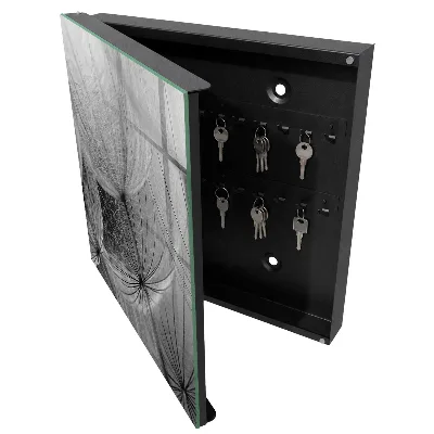 Dandelion seeds Wall mounted key box