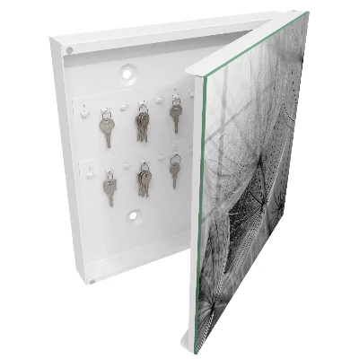 Dandelion seeds Wall mounted key box