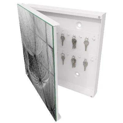 Dandelion seeds Wall mounted key box