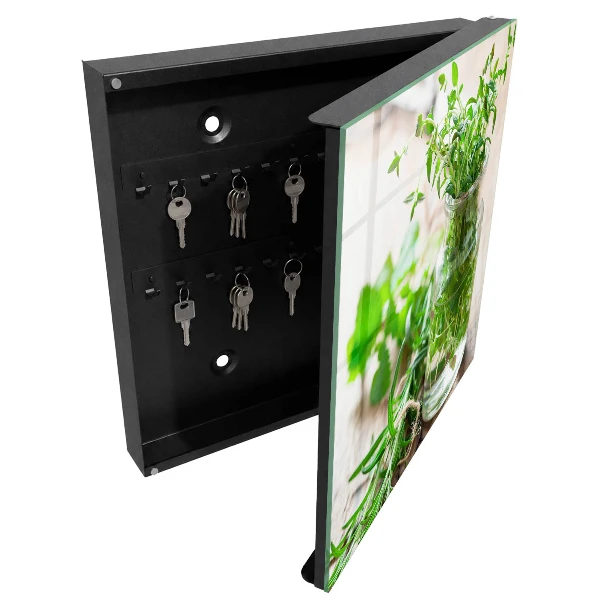 Green herbs Key box for wall