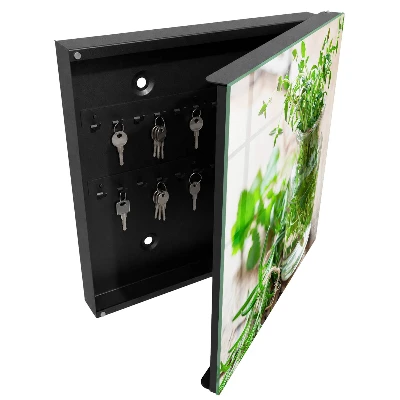 Green herbs Key box for wall