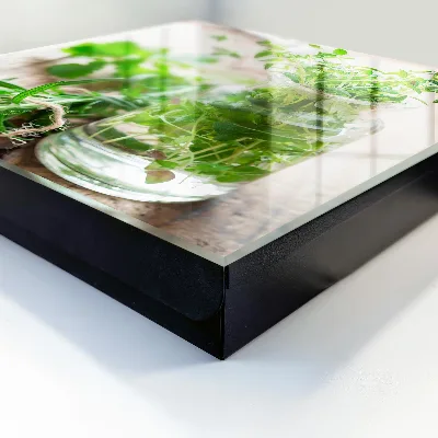 Green herbs Key box for wall