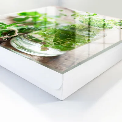 Green herbs Key box for wall