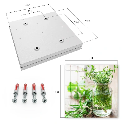 Green herbs Key box for wall