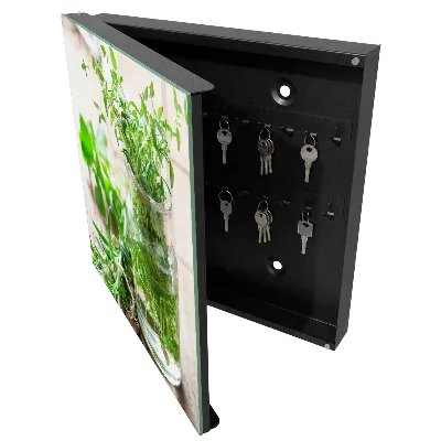 Green herbs Key box for wall