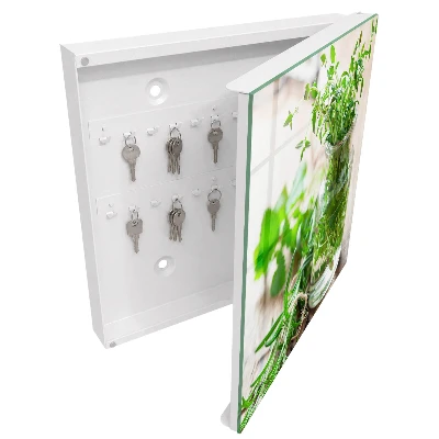 Green herbs Key box for wall