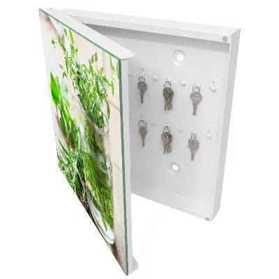 Green herbs Key box for wall