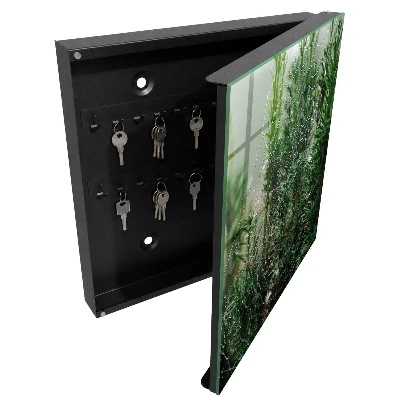 Spiderweb in the forest Key cabinet