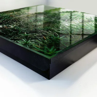 Spiderweb in the forest Key cabinet