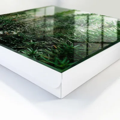 Spiderweb in the forest Key cabinet