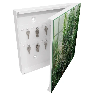 Spiderweb in the forest Key cabinet