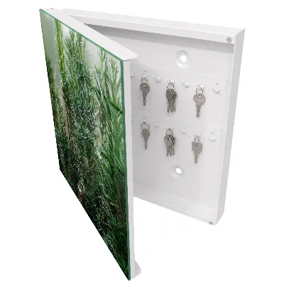 Spiderweb in the forest Key cabinet