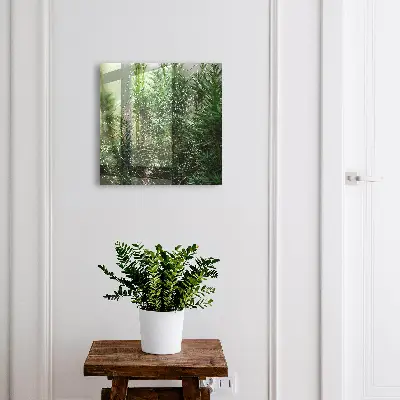 Spiderweb in the forest Key cabinet