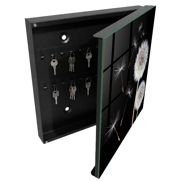 Delicate dandelions Wall mounted key box