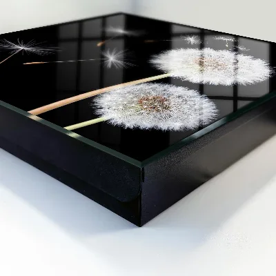 Delicate dandelions Wall mounted key box