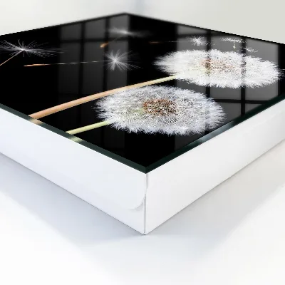 Delicate dandelions Wall mounted key box