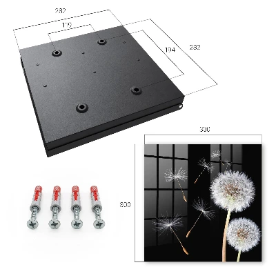 Delicate dandelions Wall mounted key box