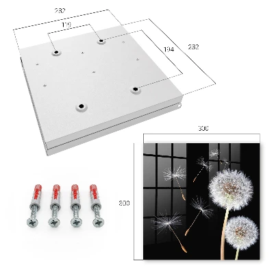 Delicate dandelions Wall mounted key box