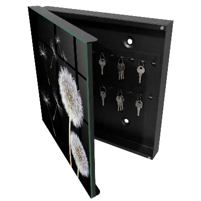 Delicate dandelions Wall mounted key box
