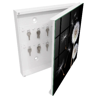 Delicate dandelions Wall mounted key box