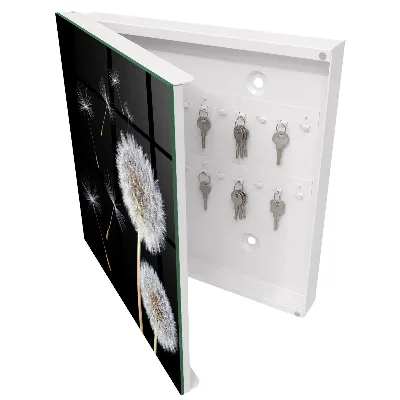 Delicate dandelions Wall mounted key box
